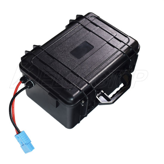 Deep Cycle Waterproof 24V 100ah LiFePO4 Lithium Battery BMS 8s for Solar System Vehicle Boat