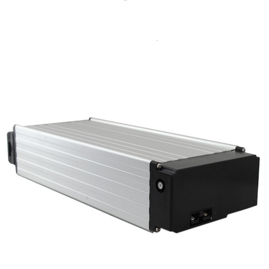 Rechargeable Electric Bike Li-ion Battery 48V 20ah Lithium Ion Battery Pack 48 Volt for Ebike