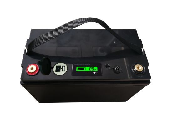 12V 100ah Deep Cycle Lithium Ion LiFePO4 Battery Pack with ABS Case APP Bluetooth Control