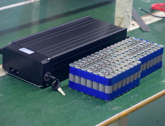 Electric Bicycle Battery 48V 20ah Lithium Battery Pack 1000W Ebike Battery with BMS