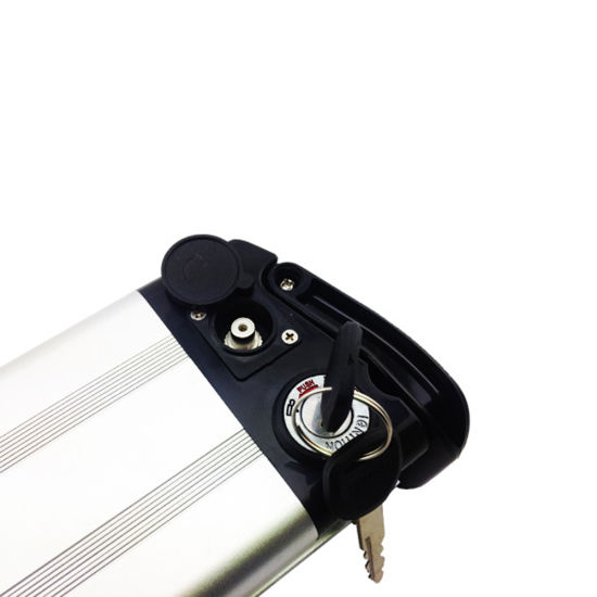 Power Supply for Ebike Rechargeable Battery Power Battery