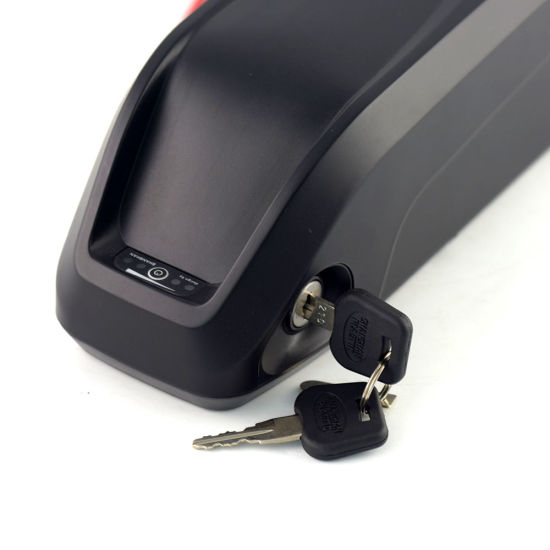 Hailong Lithium Battery Pack for 500W Ebike Motor