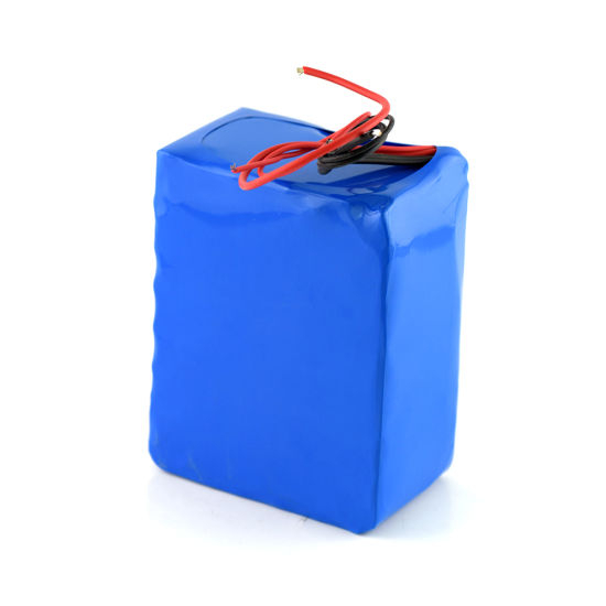 Customized 24V Li Ion Battery Pack for Electric Bike