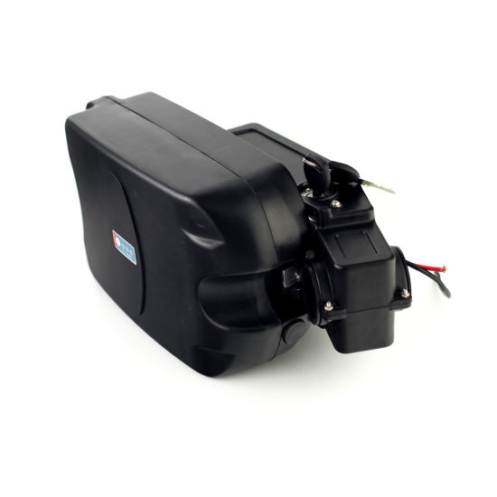 Frog Type E-Bike Battery Pack 24V 10ah for Electric Scooter Motorcycle