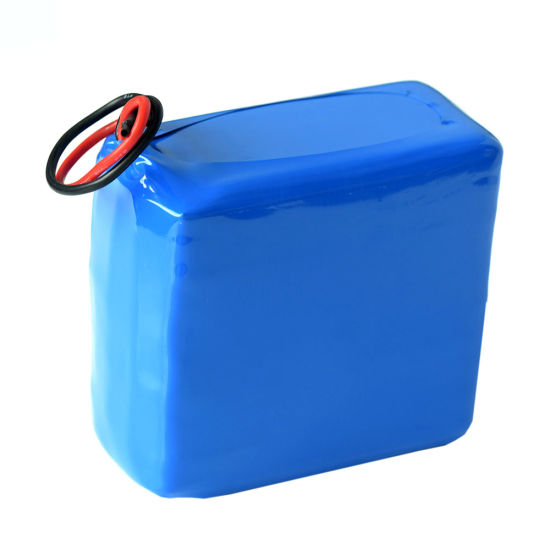 Custom Rechargeable Lipo 3.7V 100ah Lithium Polymer Battery Pack for Monitoring Camera Equipment Batteries