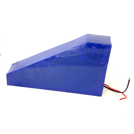 Custom 48V 20ah Lithium Ion Battery Pack China Supply