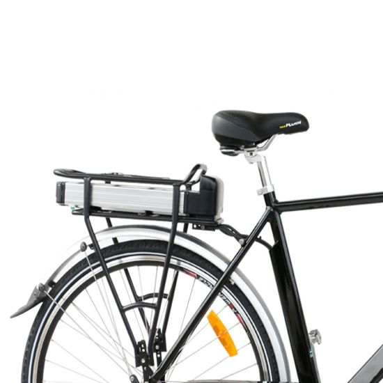 Wholesale Price Lithium 1000W Electric Bike Battery Pack 48V 20ahfor Scooter Ebike