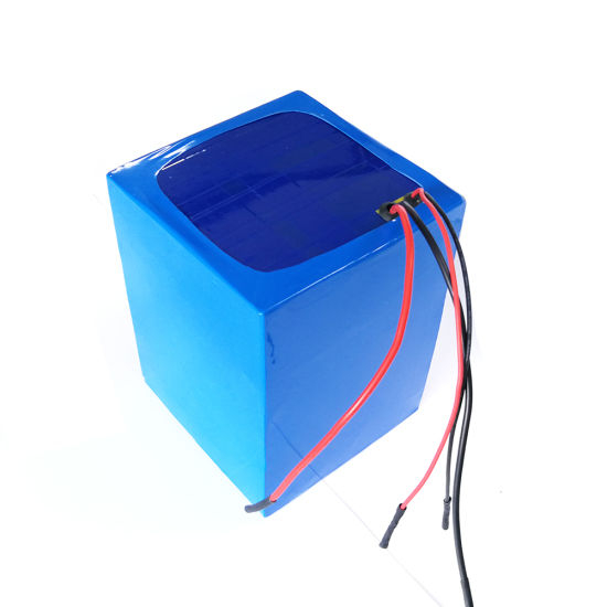 Lithium Ion Battery Pack 48V 20ah with BMS for Electric Bike Motorcycle Scooter Golf Cart