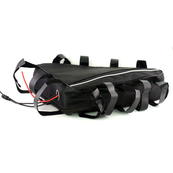 Customized 36V 48V Electric Bicycle Lithium Battery with Bag