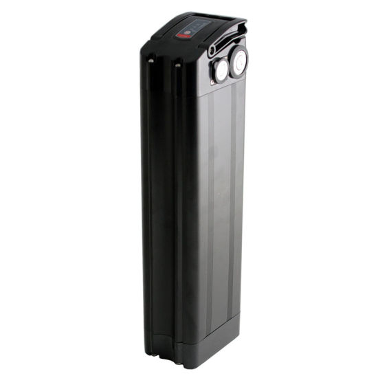 Electric Bike Lithium 20ah Replacement Ebike Battery Pack 48V
