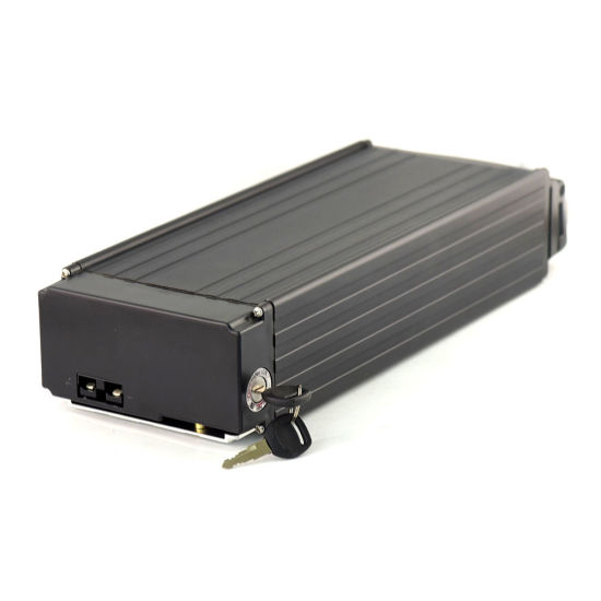 Li-ion 48V Lithium Battery for 1000W Ebike Motor