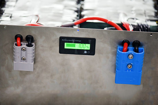 Delong Customized 48V 100ah 15s4p LFP Rechargeable Battery Pack with Stainless Steel for Energy Storage/Boat