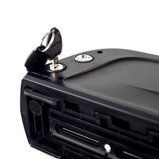 Long Life Cycle Dolphin Type 48V 10ah Lithium Ion Battery Pack for E-Bike Electric Bicycle Battery