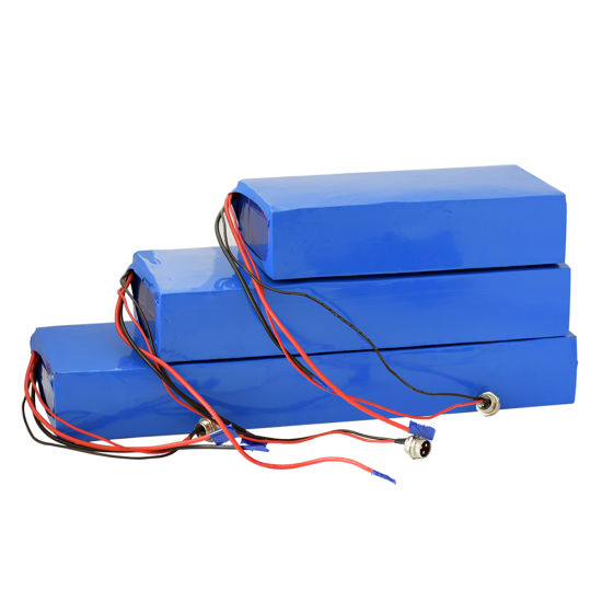 OEM Customized Lithium Ion Battery 48V 20ah 30ah 40ah Rechargeable Li-ion Battery