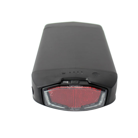 48V 20ah Li-ion Battery for Electric Bicycle with LED