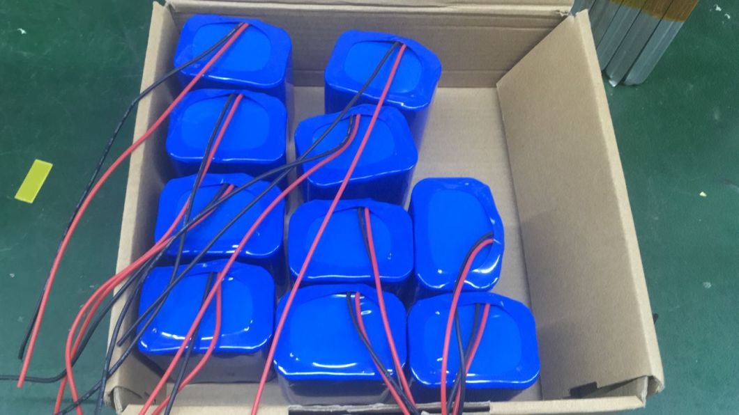 Rechargeable Small Li-ion Battery 12V 4000mAh