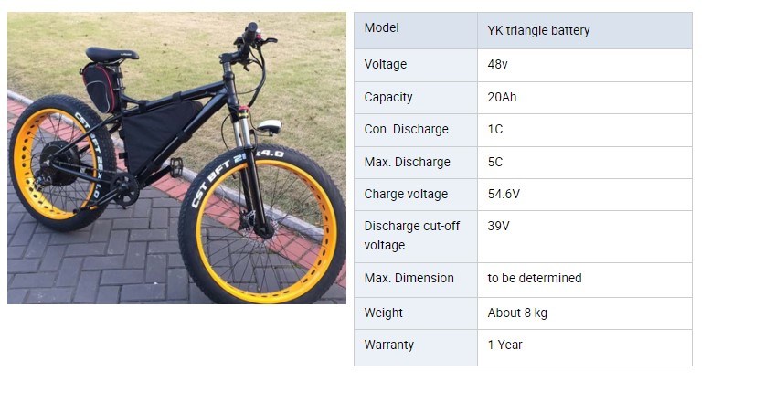 18650 Lithium Ion Cells 48V 20ah E Bike Battery Pack Triangle Bag Type for 1500W Electric Bicycle