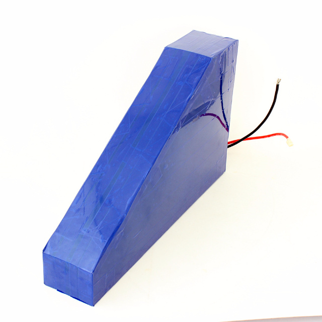 Customized 36V 48V Electric Bicycle Lithium Battery with Bag