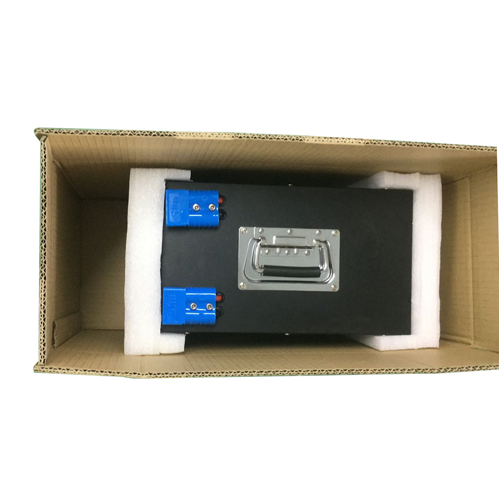 Rechargeable Lithium Ion Battery Pack 12V 200ah LiFePO4 with BMS