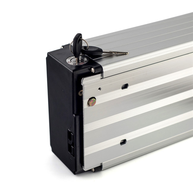 Factory Lithium 48V 20ah Ebike Battery Pack for 1000W Electric Scooter Bike with BMS