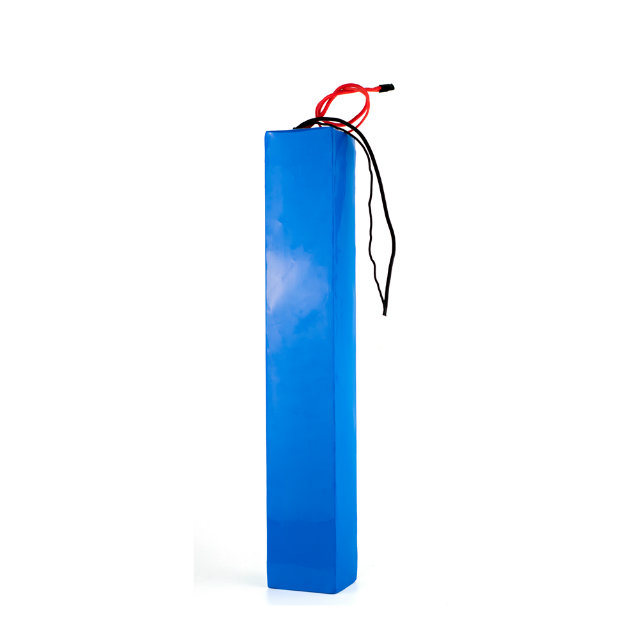 Customized 48V 10ah Lithium Ion Battery Pack with BMS