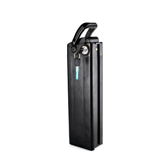 Bottom Discharge Silver Fish Battery 36V 48V 10ah in Black Color