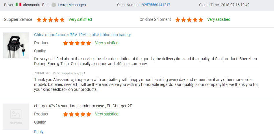 Hot Selling Lithium Ion Ebike Bicycle Battery Silver Fish 48V 20ah