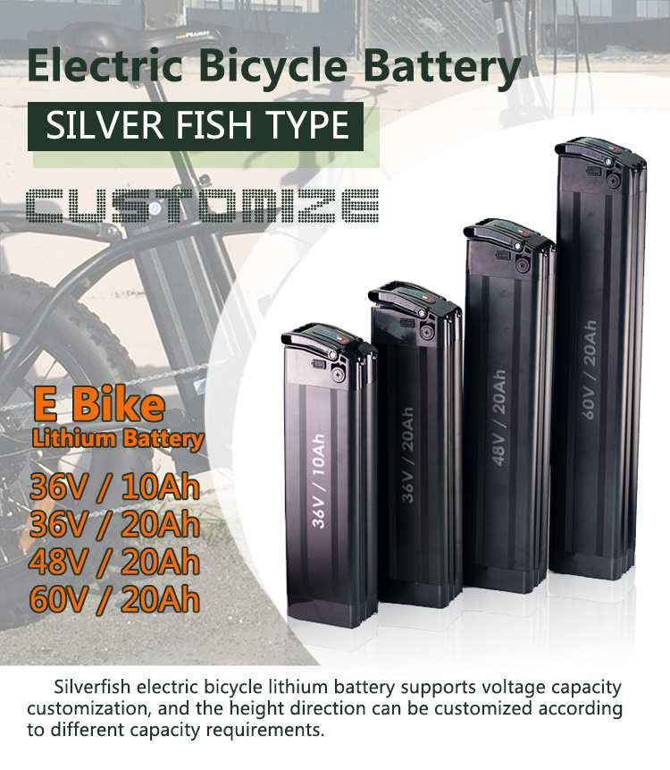 Ebike 24V 36V 48V 20ah Silver Fish Bike Lithium Ion Electric Bicycle Battery