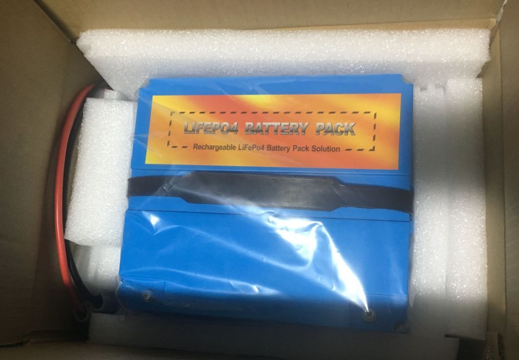 OEM Deep Cycle Prismatic Lithium Akku 12V 100ah LiFePO4 Solar Battery