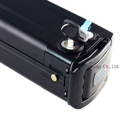 High Capacity Lithium Battery 48V 17.5ah Electric Bike Battery Silver Fish Type Battery with Charger