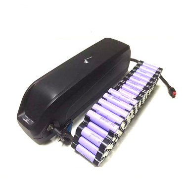 E-Bike Battery 48V 15ah Hailong Li-ion Down Tube with Charger 48V 750W 1000W Electric Bicycle