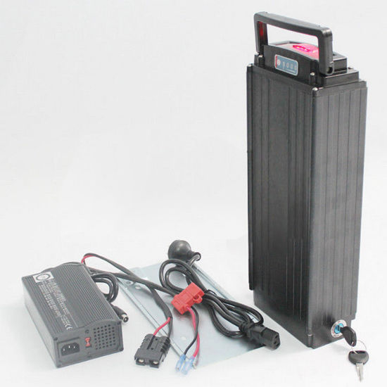 Electric Bicycle Battery 48V 20ah Lithium Battery Pack 1000W Ebike Battery with BMS