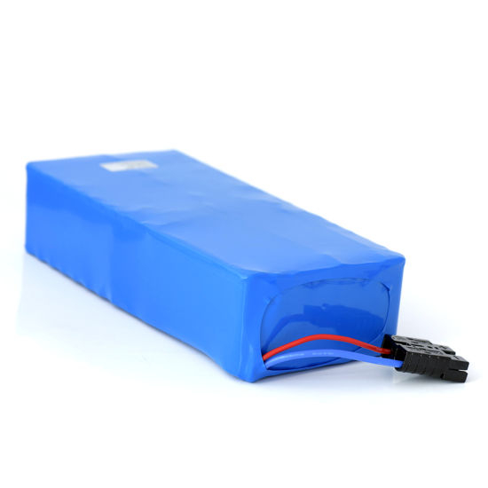 Customized 48V 20ah Li-ion Battery Pack for 1000W Electric Bike/Scooter