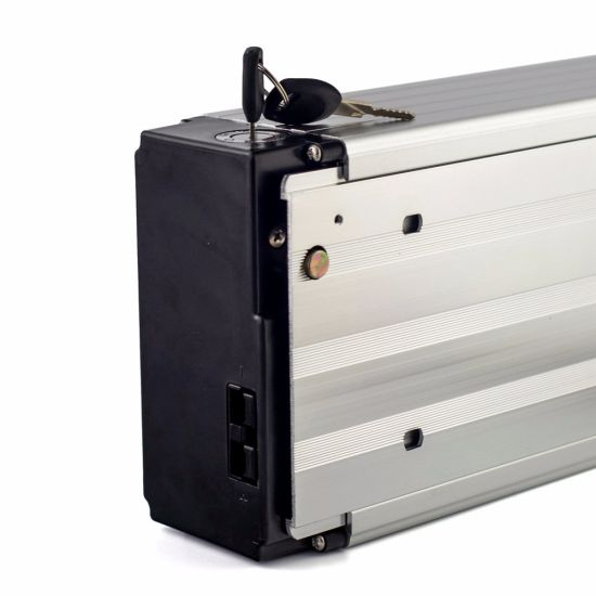 OEM Electric Bike Battery 48V 20ah with High Capacity