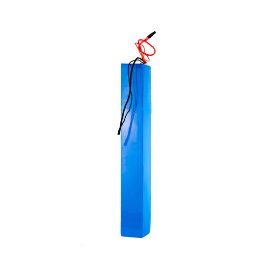 Customized 48V/36V 10ah Lithium Ion Battery Pack