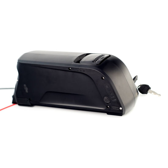 Dolphin Battery Down Tube Type Ebike Bicycle Lithium Battery 48V 13ah Lithium Battery