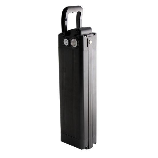 48V 12ah Lithium Battery with USB Charger for Electric Bike 1000W