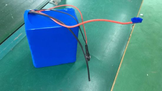 Wholesale Custom Lithium Batteries 24V 15ah for Electric Bike