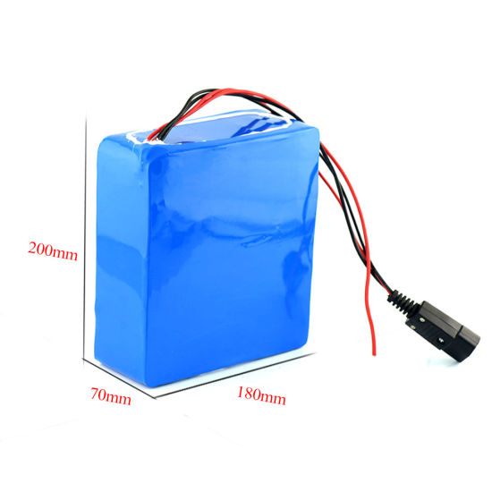 Customized 48V 15ah 750W Electric Vehicle Battery Pack