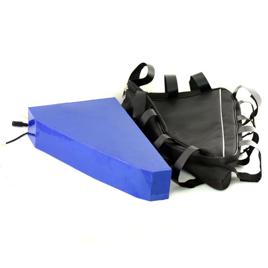 48V 20ah Rechargeable Lithium Ion Battery Pack 48 Volt Electric Scooter