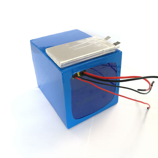 48V 20ah Rechargeable Lithium Ion Battery Pack for Electric Scooter