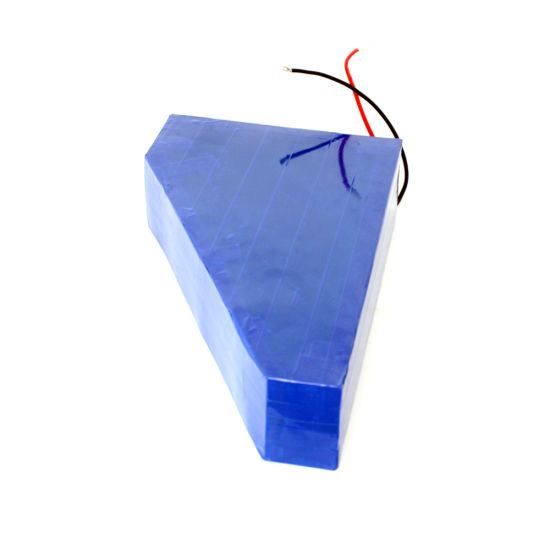 Customized 36V 48V Electric Bicycle Lithium Battery with Bag