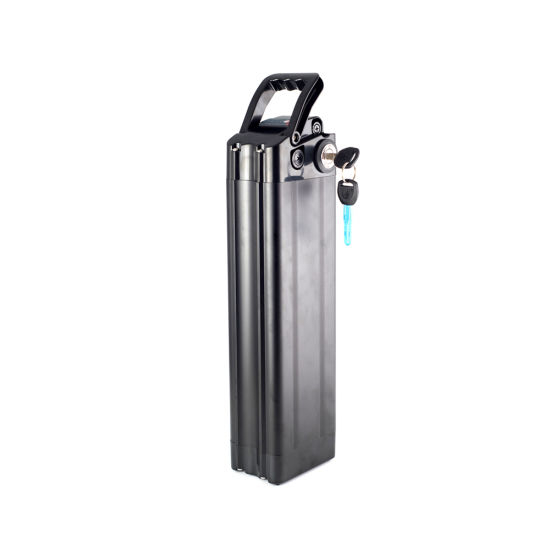 Small Silver Fish Type Electric Bike Li-ion Battery Pack 24V
