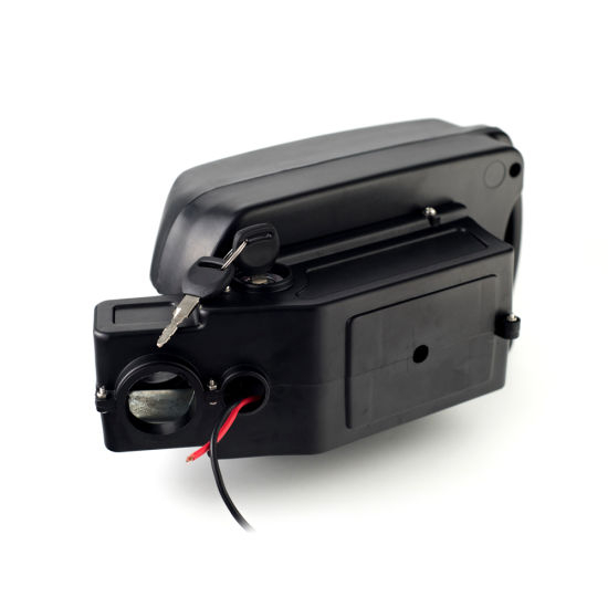 24V Electric Bike Lithium Ion Battery Small Frog Type