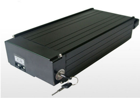 Lithium Ion 48V 1000W Electric Bike Battery Pack