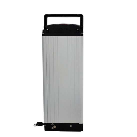 Factory Customized Direct Sale 48V 20ah Rear Rack Li Ion Electric Bike Battery with Charger