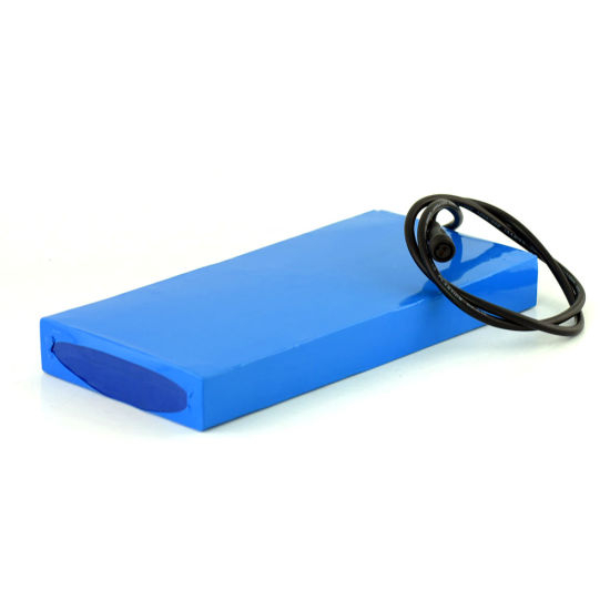 Power Supply Forklift Lithium Polymer Battery China Manufacturer