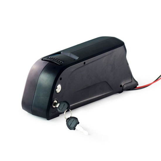 48V 10ah Lithium Ion Battery for Electric Bike
