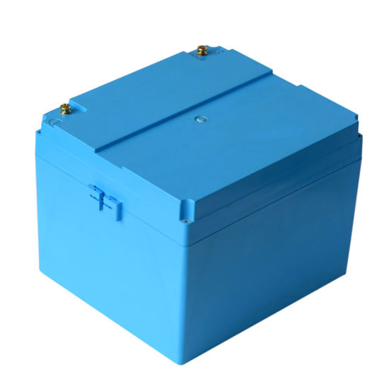 5 Years Warranty Deep Cycle 12V 100ah LiFePO4 Lithium Ion Battery with BMS