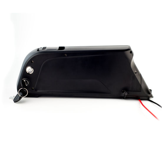 Long Life Cycle Dolphin Type 48V 10ah Lithium Ion Battery Pack for E-Bike Electric Bicycle Battery